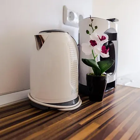 Apartament Viking *